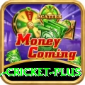 all cricket - Gaming Premium