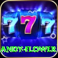 andy flower Plus Pro v5.0.8