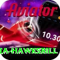 antigua hawksbill Ultimate v2.6.8
