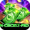 australian cricket - Slots Max