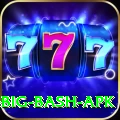 bbl big bash apk Plus Pro v1.6.9