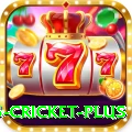 bet365 cricket - Casino Premium