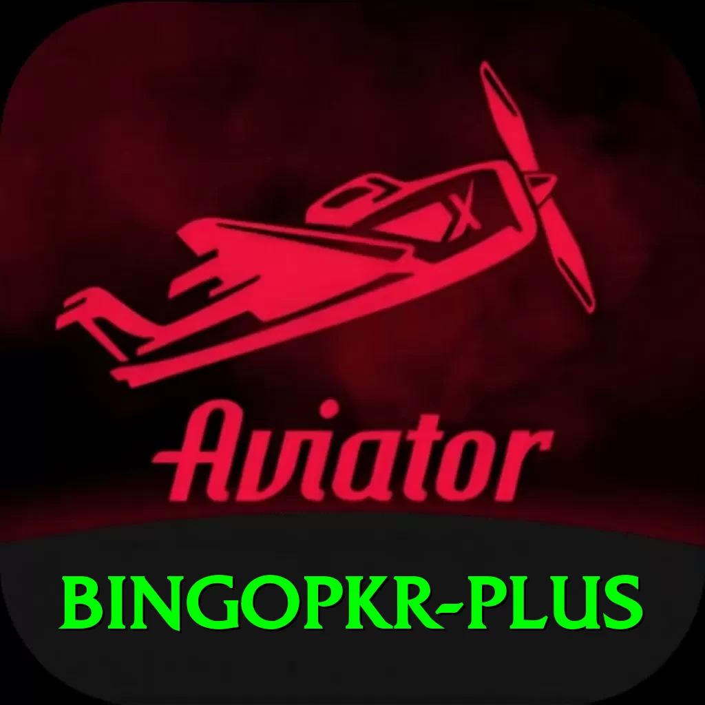 bingopkr Pro v4.9.2 - 2