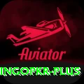 bingopkr Pro v4.9.2