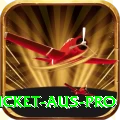 cricket aus Casino King v1.4.9