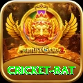 cricket bat Premium Edition v5.4.9
