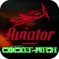 cricket pitch Apps (Tools & Injectors) VIP v1.0.7