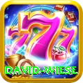 david wiese Premium v5.3.3