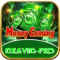 dravid - Casino Gold