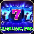 gambling Casino Premium v4.6.1