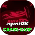grass carp Games (Casino & Earning) Max v4.4.5