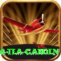 hile ilam tea garden Plus v3.8.8