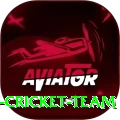 hong kong cricket team VIP v2.3.8