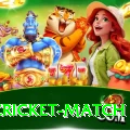 india cricket match Pro1 v3.8.3