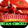 india pakistan cricket Gold Edition v5.1.8