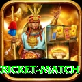 india pakistan cricket match Gold Edition v2.1.0