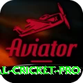 international cricket Ultimate Casino App