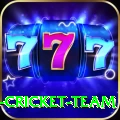 ireland cricket team Deluxe Pro v2.4.7