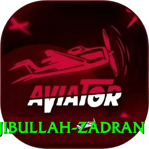 najibullah zadran Plus v3.8.1 - 2