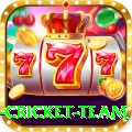 new zealand cricket team Games (Casino & Earning) Gold v2.7.2