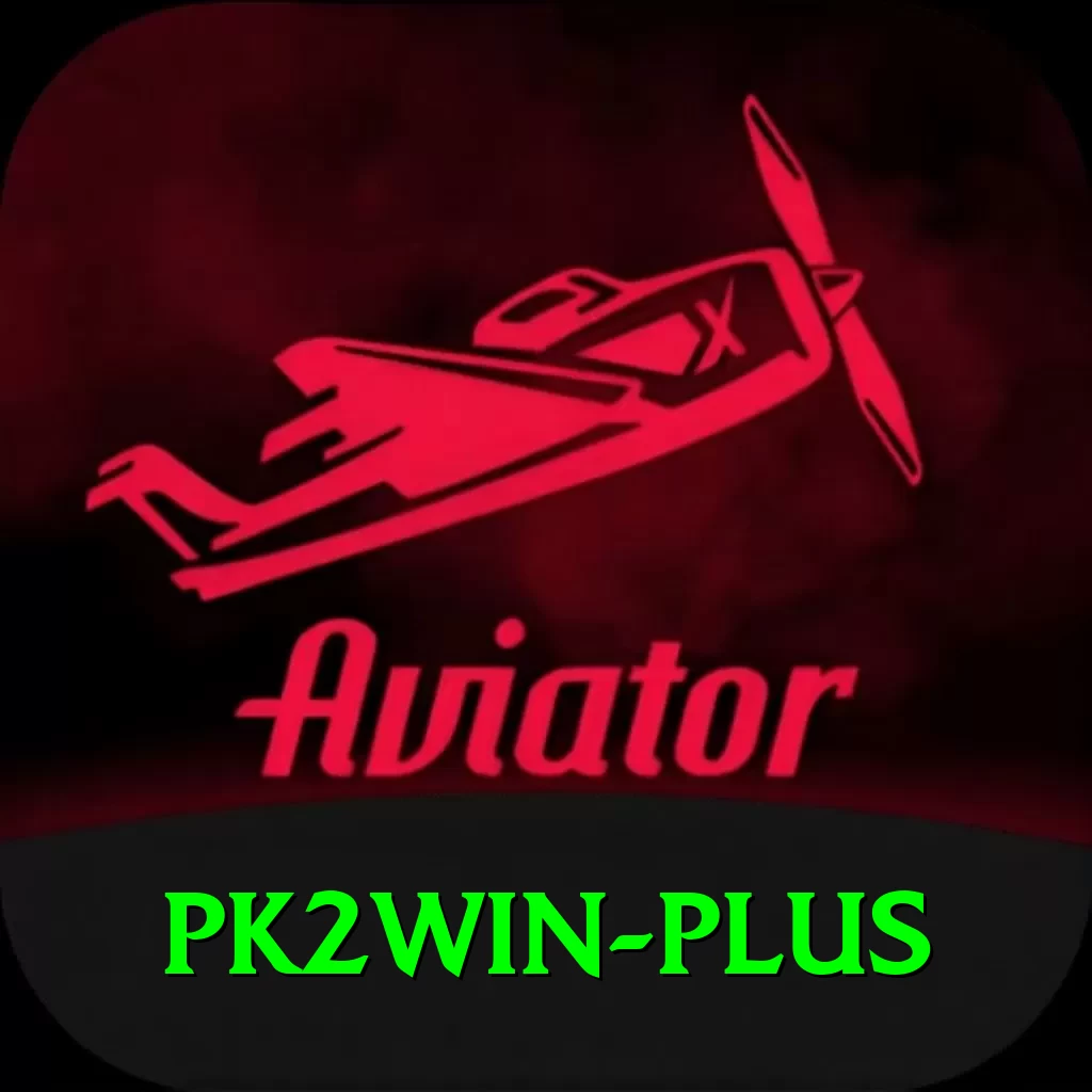 pk2win Premium Plus v5.1.9 - 2