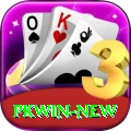 PKWin Pro - Free Download