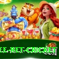 risk free bet cricket VIP Edition v5.2.2