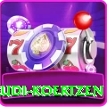 rudi koertzen Pro Edition v3.6.2