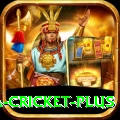 sa cricket APK King v1.6.7