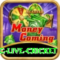 smartcric live cricket Games (Casino & Earning) Deluxe v1.7.3
