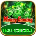 test cricket Deluxe v3.7.5