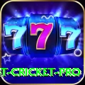 test cricket - Gaming Champion