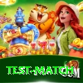 test match Pro Edition v4.8.9