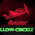 willow cricket Apps (Tools & Injectors) Max v5.9.4