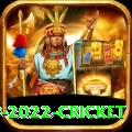 world cup 2022 cricket VIP